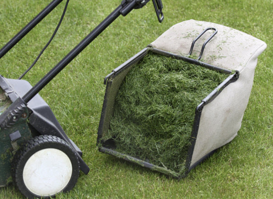 Picture of Grass Clippings